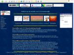 De website zoals in 2004